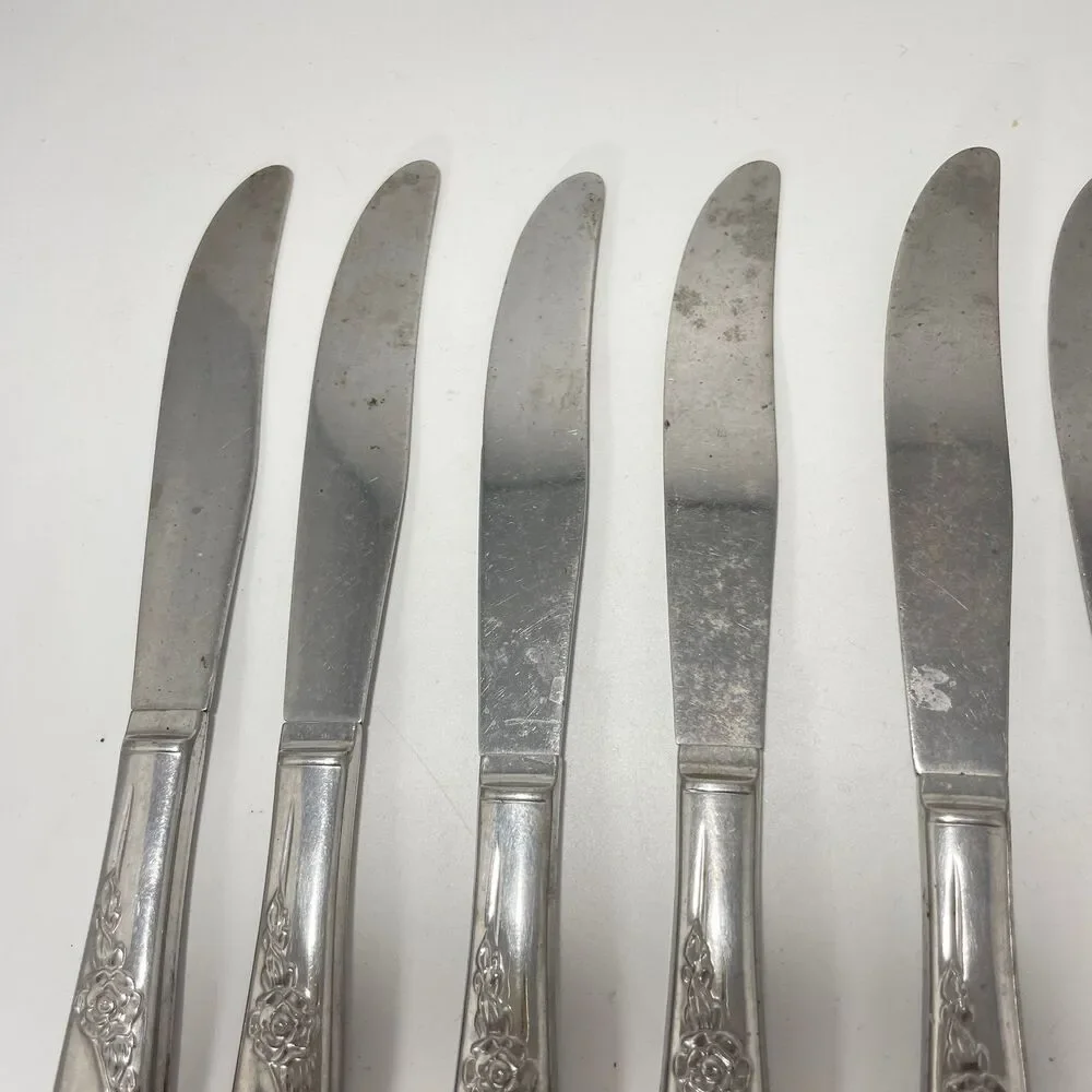 Lot of 9 Oneida Wm A Rogers Premier La Rose Stainless Dinner Knives 8.5”